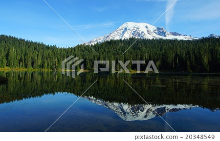 美國華盛頓雷尼爾山國家公園Reflection Lake 20348549