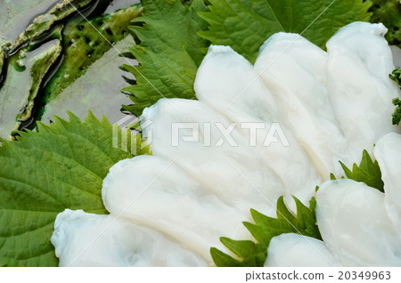 活潑的章魚生魚片。 （Tako的品種未知，超級章魚（章魚）生魚片準備好了） 20349963