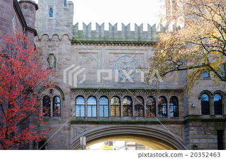 Yale University Campus 20352463