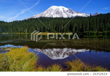 美國華盛頓雷尼爾山國家公園的風景 20352614