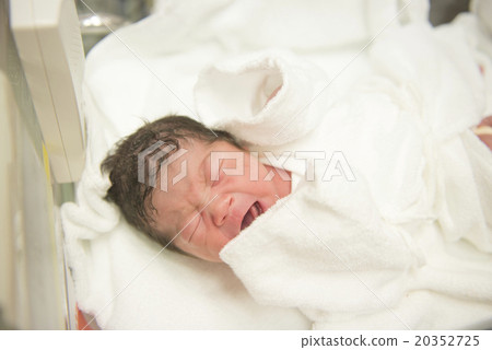 嬰兒出生哭哭 嬰兒出生哭哭 20352725