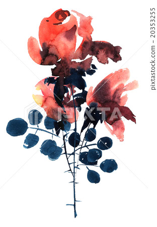 Rose Rose 20353255