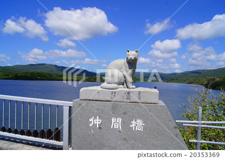 沖繩縣西里島島·中川川 沖繩縣西里島島·中川川 20353369