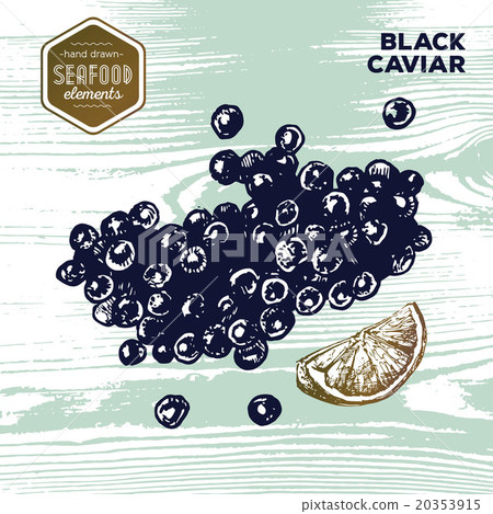 Hand drawn sketch seafood of black caviar. 20353915