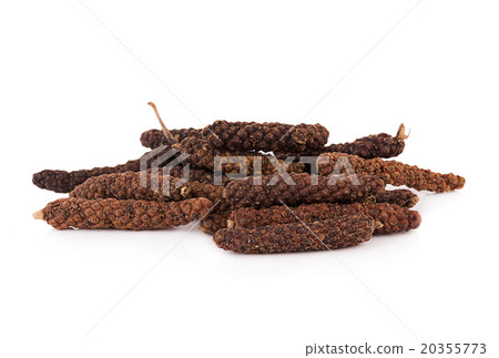 long pepper on white background long pepper on white background 20355773