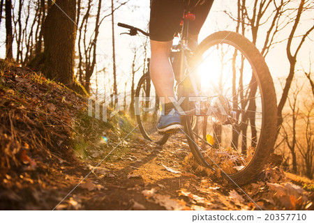 Mountain biker Mountain biker 20357710