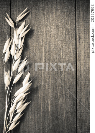 ears of oat on wood 20357998