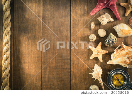 seashell on wooden background seashell on wooden background 20358016