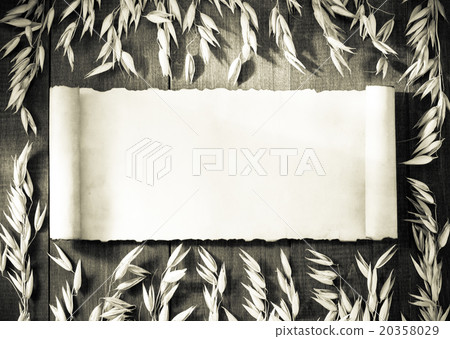 ears of oat on wood 20358029