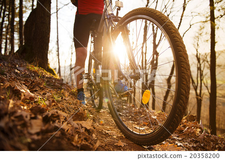 Mountain biker 20358200