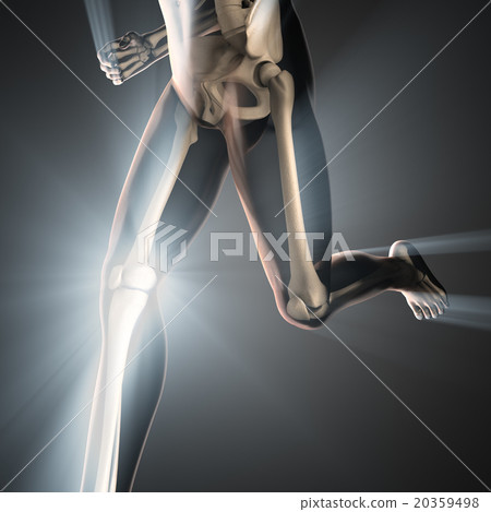 human bones radiography scan image 20359498