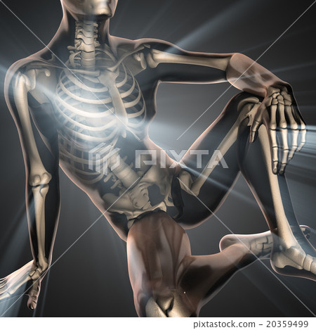 human bones radiography scan image 20359499