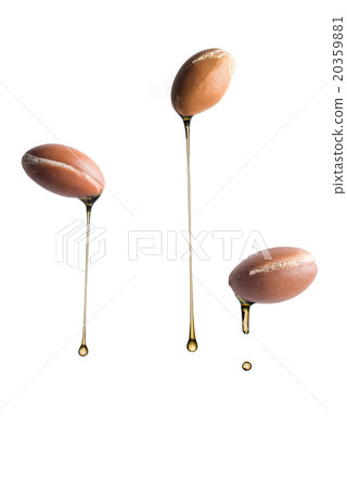 Drops of oil falling from argan fruits 20359881