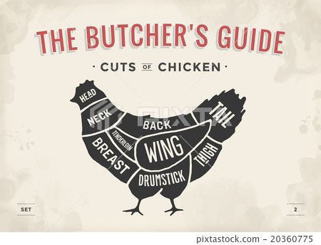 Cut of meat set. Poster Butcher diagram - Chicken Cut of meat set. Poster Butcher diagram - Chicken 20360775