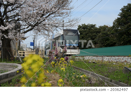 Toyama Portram 20362497