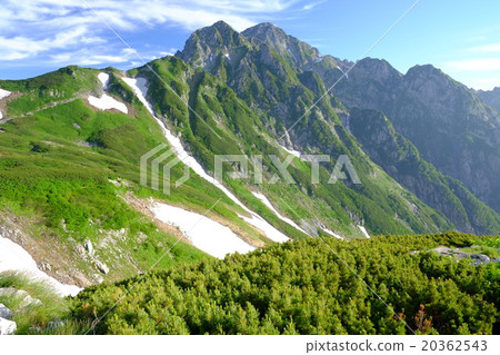 Fresh green mountain 20362543