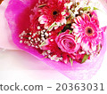 白色背景豪華花束 白色背景豪華花束 20363031
