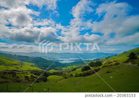 Akaroa overlooking the hill Akaroa overlooking the hill 20363153