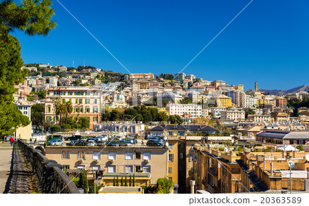 View of Genoa city - Italy, Liguria View of Genoa city - Italy, Liguria 20363589