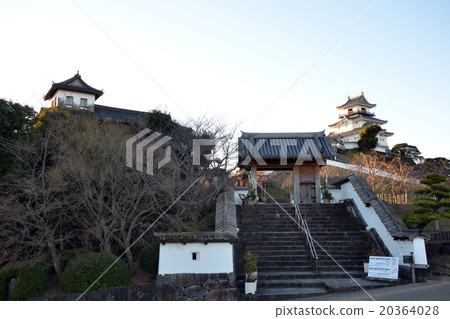 掛川城全景 20364028