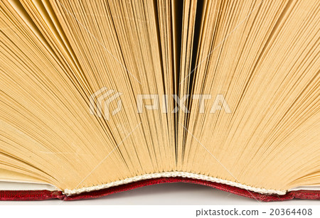 Close-up of opened book's page 20364408