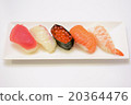 sushi  20364476