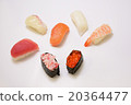 sushi  20364477