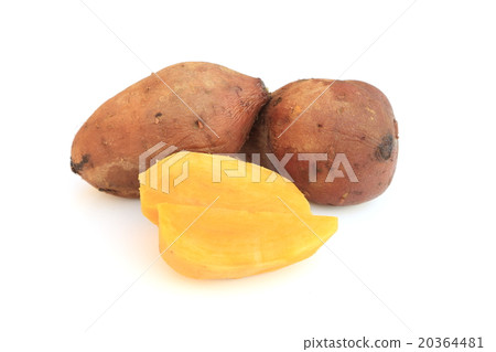 Steamed anemi potato 20364481