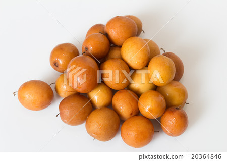 Jujube  or Milk Jujub 20364846