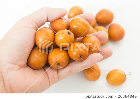 handful of jujube handful of jujube 20364849