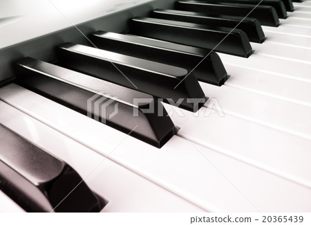 close-up of piano keys. close frontal view. close-up of piano keys. close frontal view. 20365439