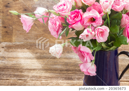 pink and white  roses  20365673