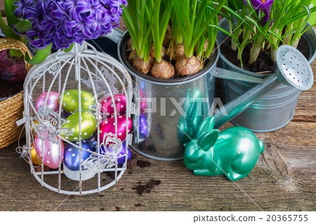 Easter in garden Easter in garden 20365755