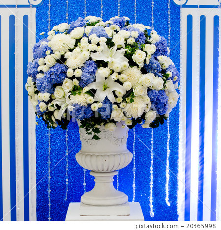 blue and white and green flowers in ceramic pot blue and white and green flowers in ceramic pot 20365998