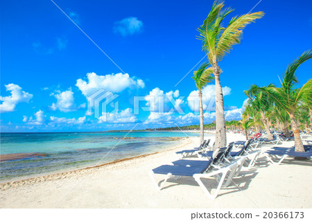 tropical sea tropical sea 20366173
