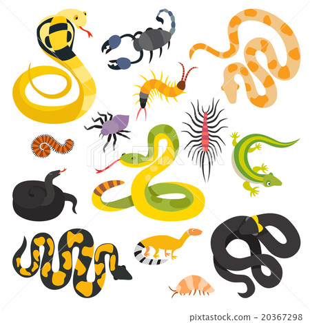 Vector flat snakes and other danger animals Vector flat snakes and other danger animals 20367298