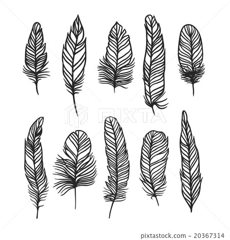 Boho feather hand drawn effect vector style - Stock Illustration ...