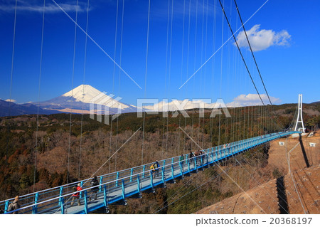 Mishima Sky Walk and Mt. Fuji 20368197