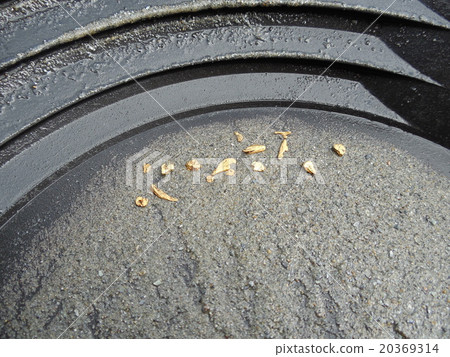Close up of gold nugget Close up of gold nugget 20369314