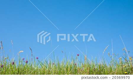 grass profile and sky grass profile and sky 20369970