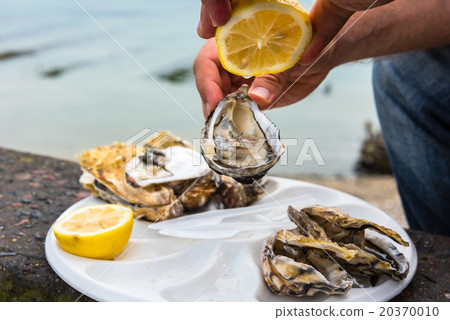 Male hand holding oysters Male hand holding oysters 20370010