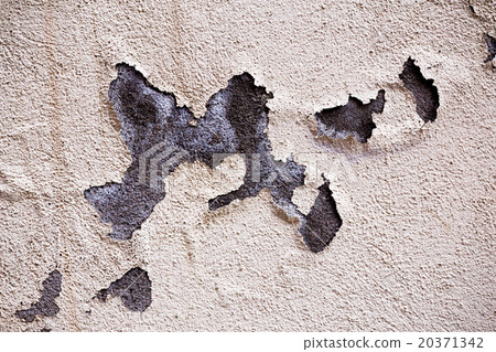 White wall background 20371342