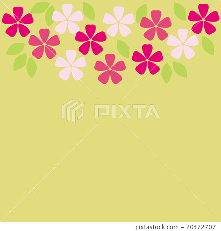 櫻花 櫻花 20372707