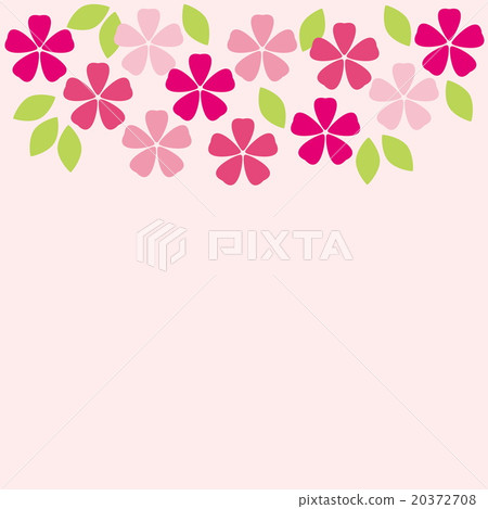 櫻花 20372708