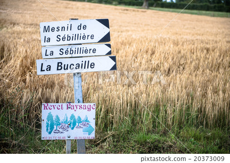 French landscape 20373009