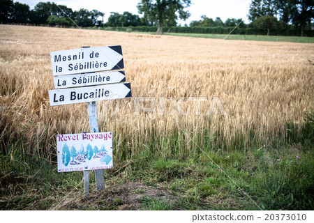 French landscape 20373010