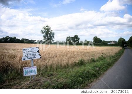 French landscape 20373011