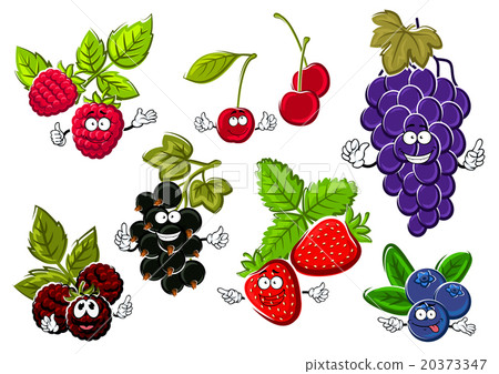 Garden berry fruits happy characters Garden berry fruits happy characters 20373347