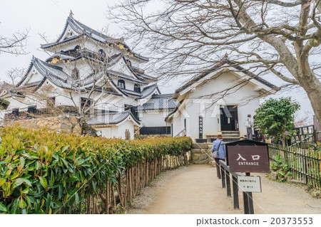 Scenery of the castle tower of Hikone castle in spring Scenery of the castle tower of Hikone castle in spring 20373553