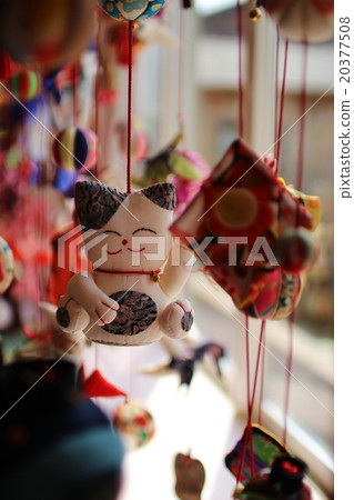 一隻貓 一隻貓 20377508